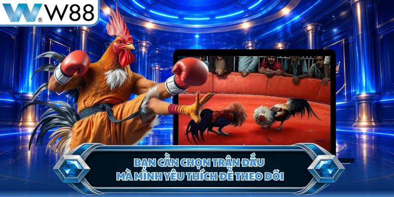 Bạn cần chọn trận đấu mà mình yêu thích để theo dõi
