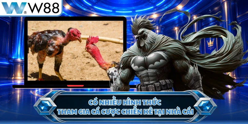 Có nhiều hình thức tham gia cá cược chiến kê tại nhà cái
