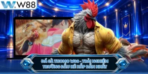 Đá Gà Thomo W88 - Trải Nghiệm Trường Đấu Kê Hấp Dẫn Nhất