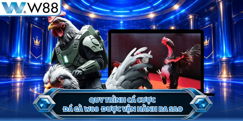 Quy trình cá cược đá gà W88 được vận hành ra sao