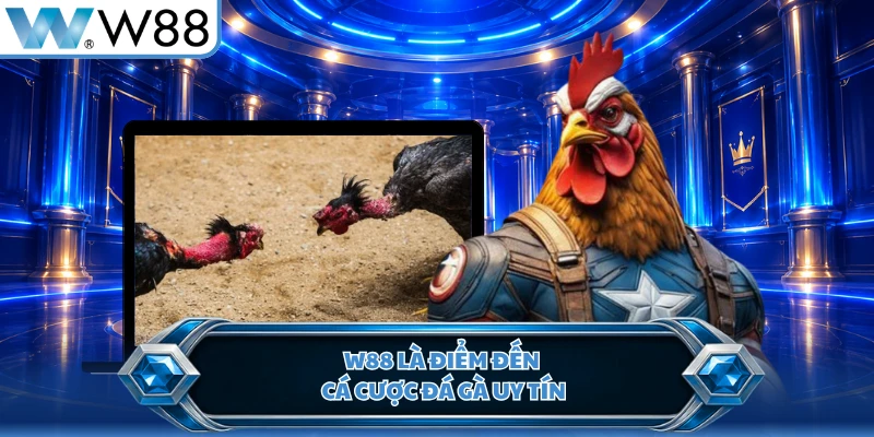 W88 là điểm đến cá cược đá gà uy tín
